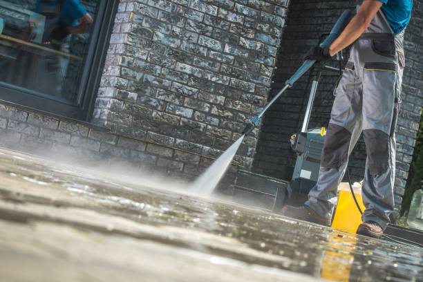 Best Animal Enclosure Cleaning  in Granite Shoals, TX