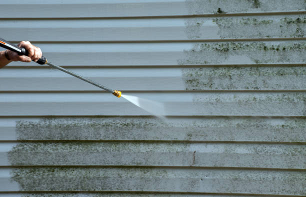 Best Sidewalk and Walkway Cleaning  in Granite Shoals, TX